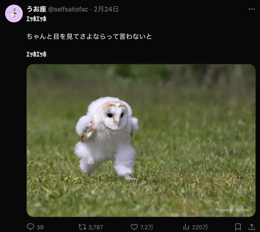 エッホエッホふくろう　元ネタ